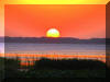 2009AprilWildlife046.jpg